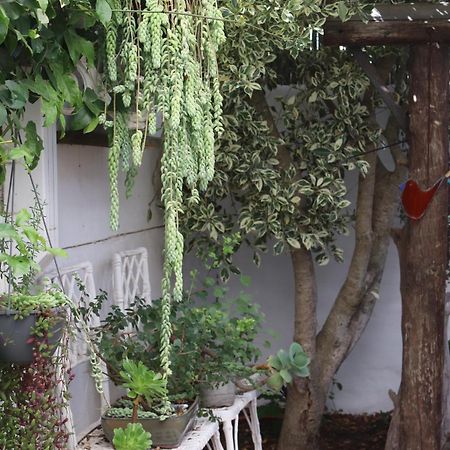 Gilcrest Place Guest House Paternoster Bagian luar foto