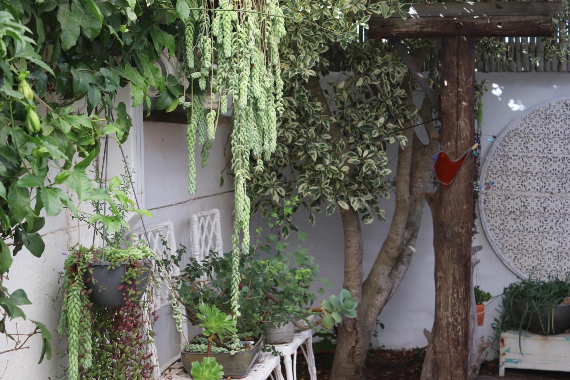 Gilcrest Place Guest House Paternoster Bagian luar foto